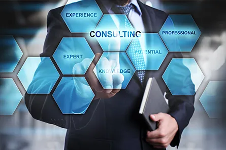 Consulting Services - InnoFour Experts